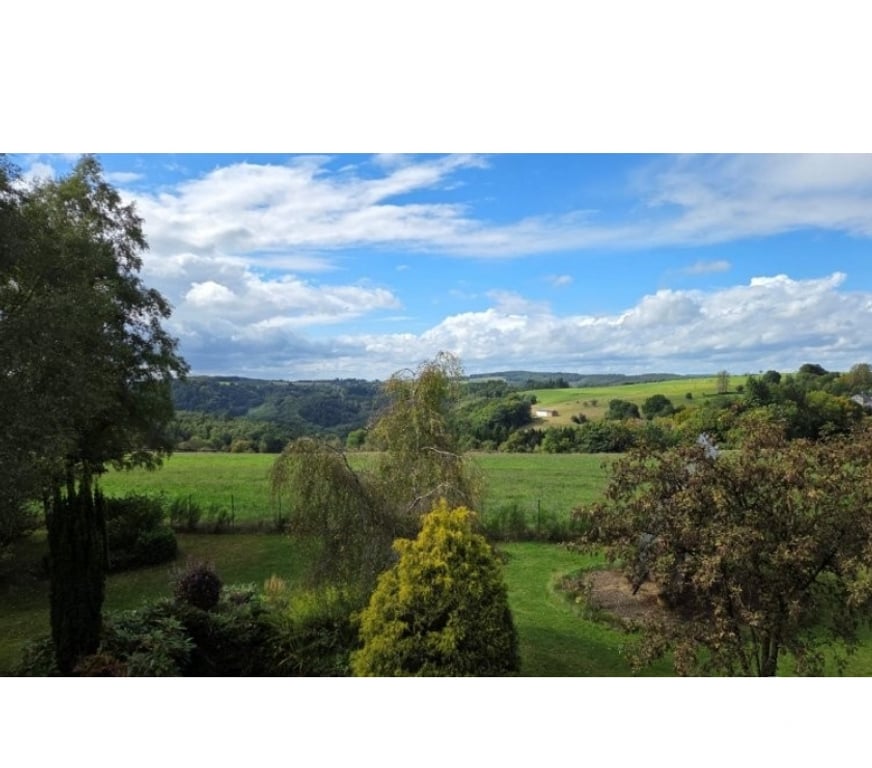 Annonce maison Bertrix - Photos Vivastreet Auby : magnifique propriété sur 73a 78ca.