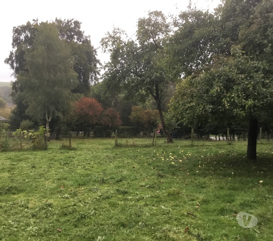 Terrains à vendre Neufchâteau - Photos Vivastreet Beau terrain à vendre à 6840 LONGLIER ( NEUFCHÂTEAU )