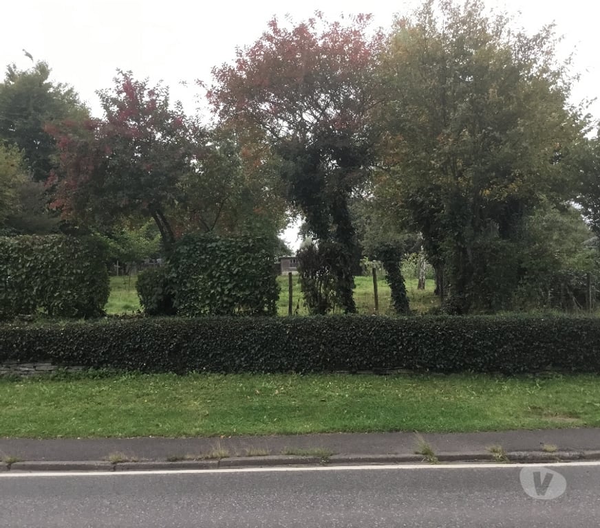 Terrains à vendre Neufchâteau - Photos Vivastreet Beau terrain à vendre à 6840 LONGLIER ( NEUFCHÂTEAU )