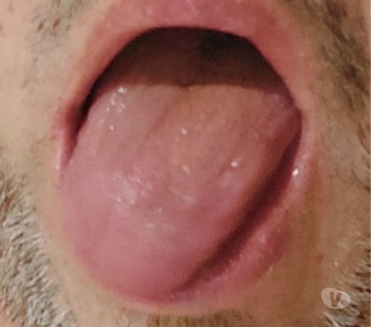 Gay - Photos Vivastreet Qui veux ma bouche. cora andelrecht