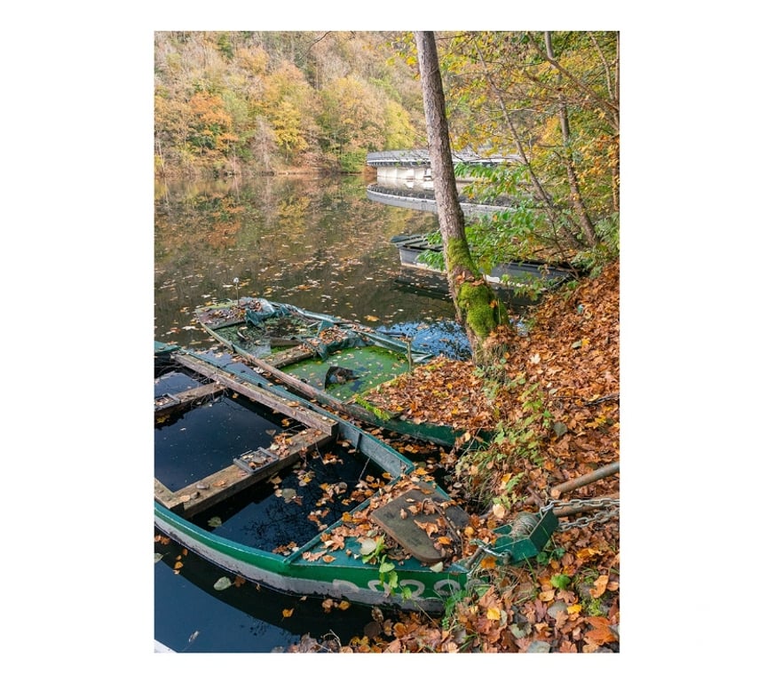 Autres cours Beauvechain - Photos Vivastreet Stage photo 3 jours (1, 2 et 3 novembre 2025)