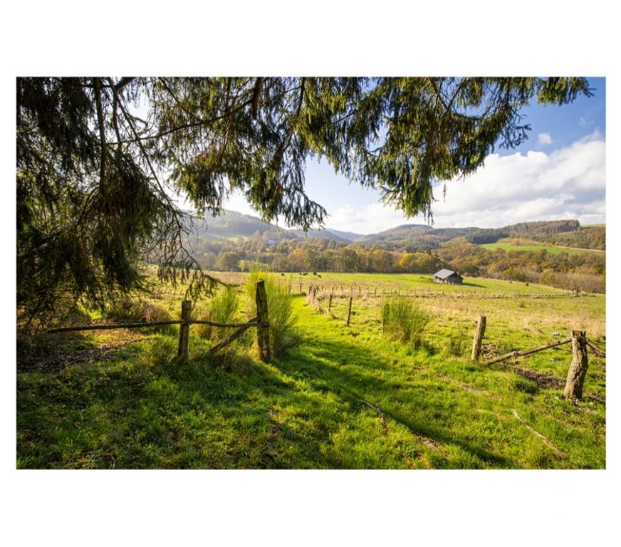 Autres cours Beauvechain - Photos Vivastreet Stage photo 3 jours (1, 2 et 3 novembre 2025)