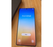 Samsung Galaxy S25 Ultra 256 Go Noir titane 5G