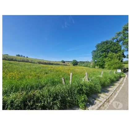Terrains Bouillon-Centrum Bouillon - Photos Vivastreet Les Hayons : superbe terrain de 1Ha 44a 66ca.
