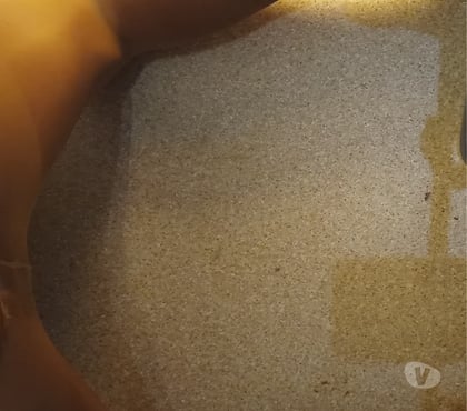 Rencontre gay Belgrade Namur - Photos Vivastreet Chienne trav reçoit à 4 pattes