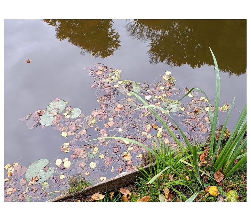 Gay Ottignies-Louvain-la-Neuve Louvain-la-Neuve - Photos Vivastreet Cherche lope masseur,lécheur, excellent suceur