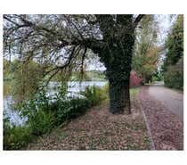 Cherche lope masseur,lécheur, excellent suceur