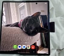 SAMSUNG GALAXY Z FOLD 7 250GB + GARANTIE