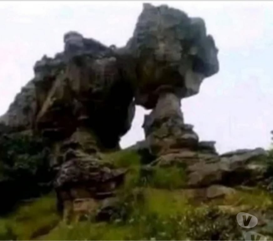 Gay Jambes Jambes-Centrum - Photos Vivastreet Quo veut sucre une bonne bite