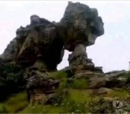 Rencontre gay Jambes-Centrum Jambes - Photos Vivastreet Quo veut sucre une bonne bite