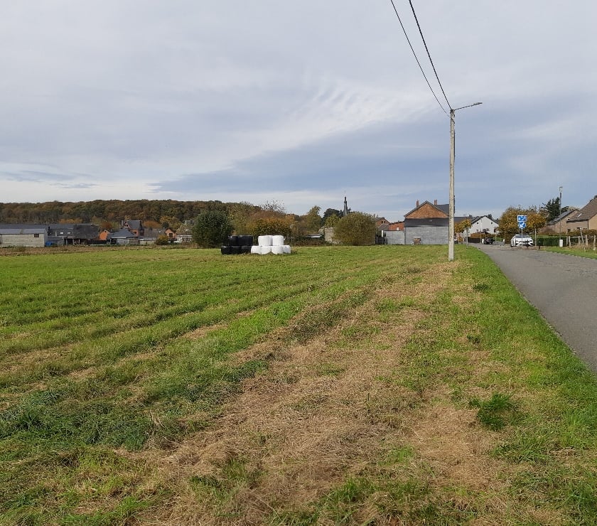 Terrains à vendre Durbuy Durbuy-Centrum - Photos Vivastreet Hotton: terrain pour lotissement à vendre 42 € m²