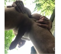 Qui me rentre sa langue dans mon cul bien écarter