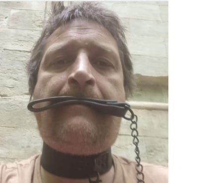 Rencontre gay - Photos Vivastreet Apprenti S O U M I S E