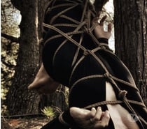 Découvrez l'art du Shibari