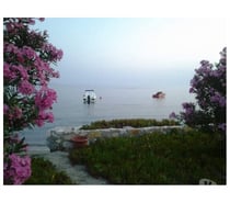 Rencontre femme avec courbes 