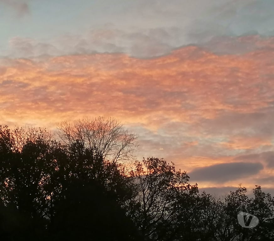 exhib Namur Bouge - Photos Vivastreet Bonjour mesdames vous ne vous bousculez pas au portillon
