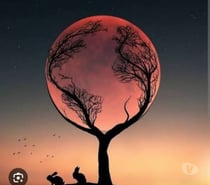 Passif cherche actif