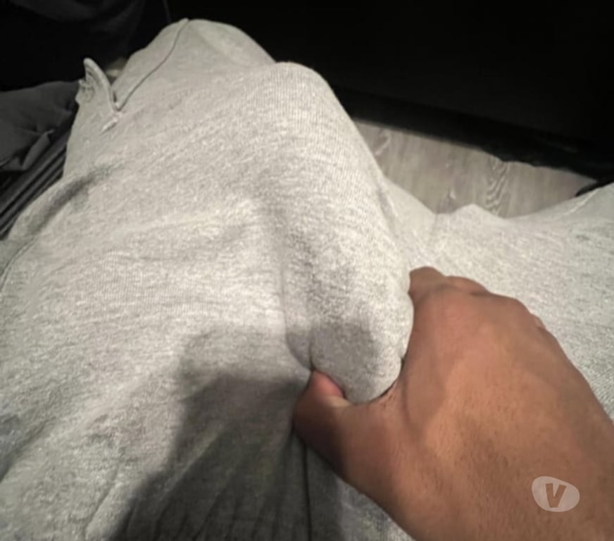 exhib Bruxelles (Brussels) Bruxelles-Centrum - Photos Vivastreet Renoi black à la recherche de sa petite proie