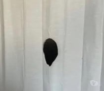 Glory hole Braine le comte