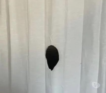 plan cul gratuit - Photos Vivastreet Glory Hole Braine le comte