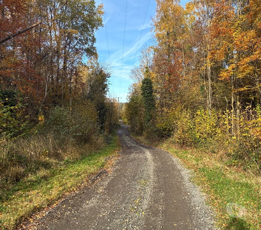 Terrains à vendre Anthisnes Limont - Photos Vivastreet Vente parcelle de bois