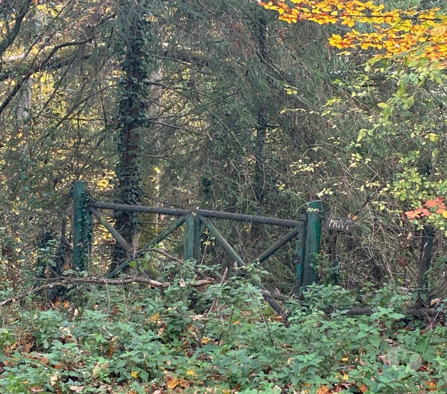 Terrains à vendre Anthisnes Limont - Photos Vivastreet Vente parcelle de bois