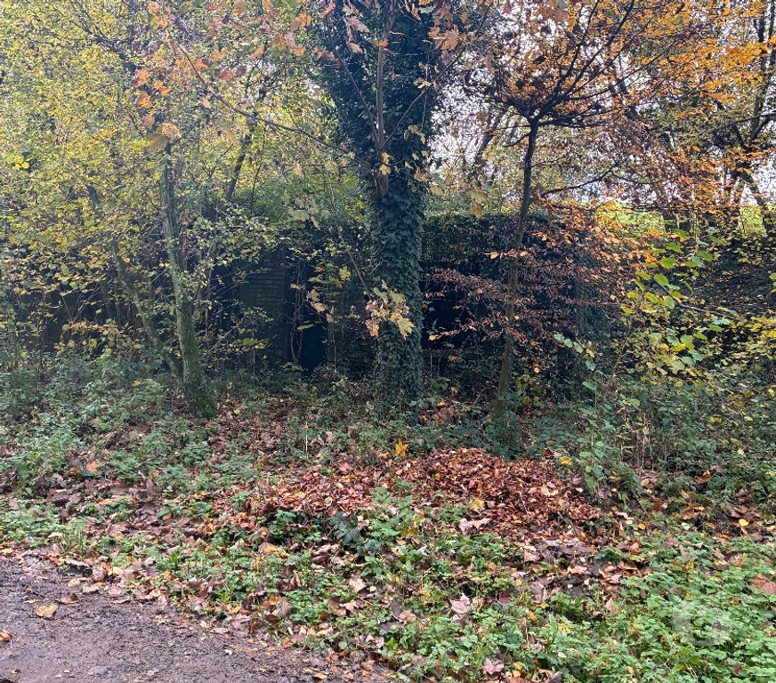 Terrains à vendre Anthisnes Limont - Photos Vivastreet Vente parcelle de bois