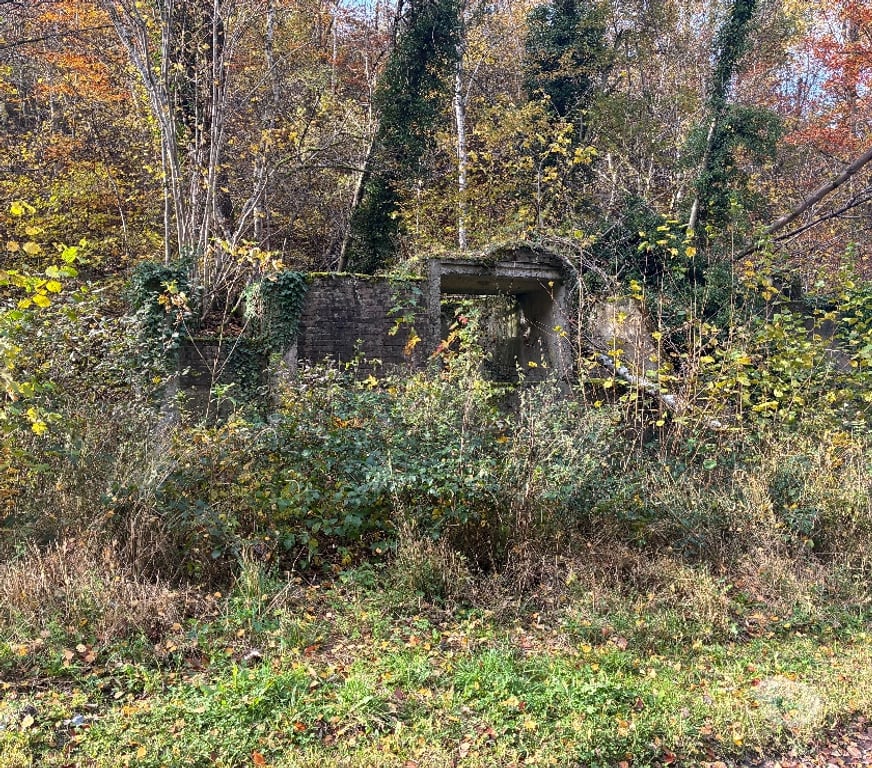 Terrains à vendre Anthisnes Limont - Photos Vivastreet Vente parcelle de bois
