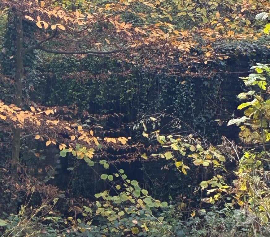 Terrains à vendre Anthisnes Limont - Photos Vivastreet Vente parcelle de bois