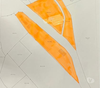 Terrain à vendre Limont Anthisnes - Photos Vivastreet Vente parcelle de bois