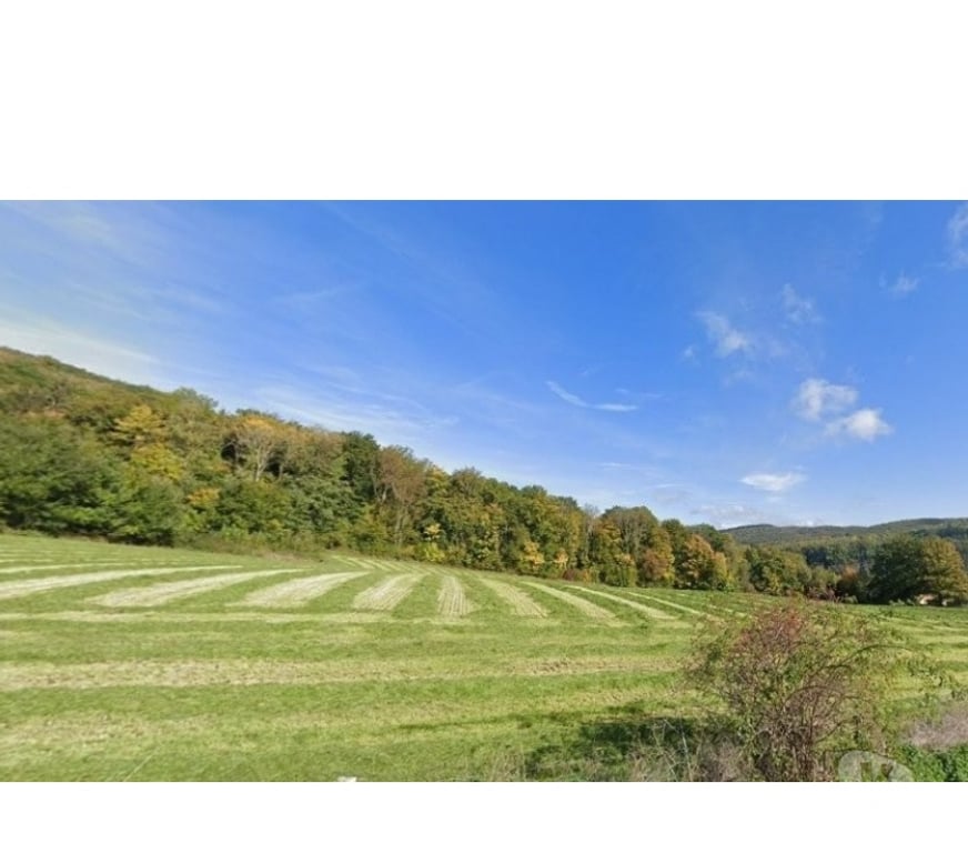 Terrains à vendre Hastière Agimont - Photos Vivastreet 5544 Hastière : splendide terrain de 51 ares - bouwgrond.