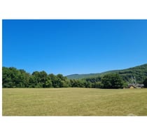 5544 Hastière : splendide terrain de 51 ares - bouwgrond.