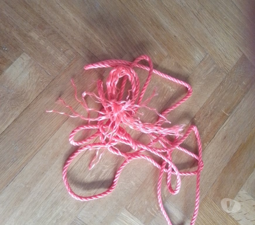 exhib Verviers Verviers-Centrum - Photos Vivastreet Domination du dimanche