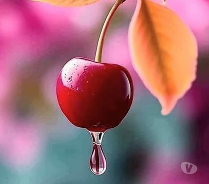 exhib Liège-Centrum Liège - Photos Vivastreet Fantasmes sans tabou