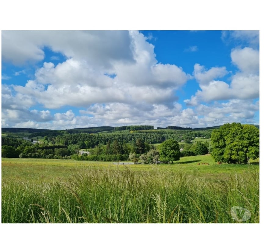 Terrains à vendre Tenneville Laneuville-au-Bois - Photos Vivastreet Ortheuville : terrain à batir avec belle vue, 11a 72ca.