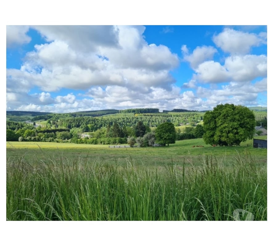 Terrains à vendre Tenneville Laneuville-au-Bois - Photos Vivastreet Ortheuville : terrain à batir avec belle vue, 11a 72ca.