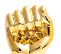 Fisteur pour ours poilu passif