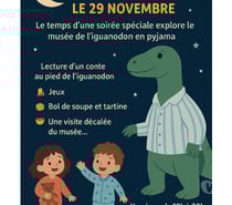 Soirée Pyjama au Musée de l'Iguanodon