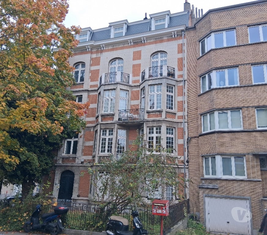 colocation Forest - Photos Vivastreet Appartement Art Deco rénové très lumineux 3 chambres