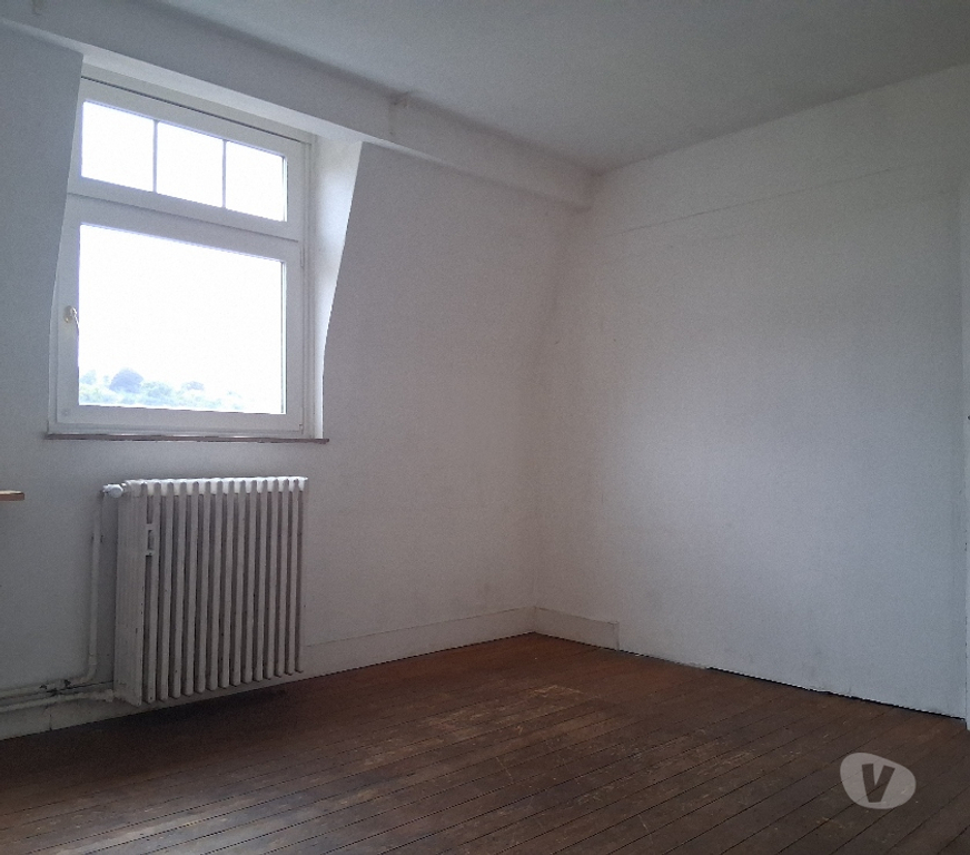 colocation Forest - Photos Vivastreet Appartement Art Deco rénové très lumineux 3 chambres