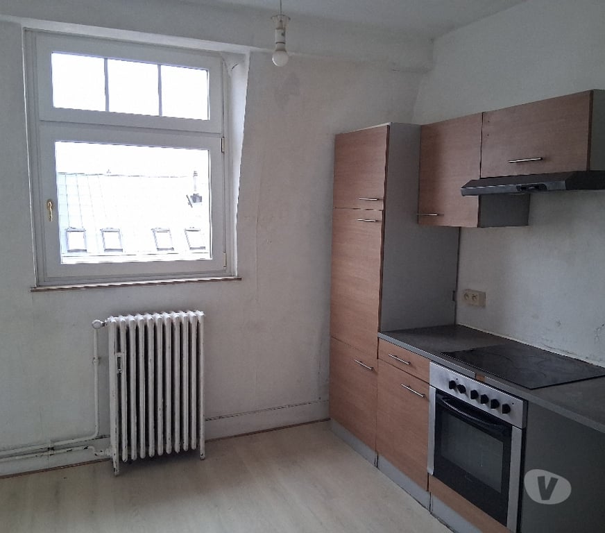 colocation Forest - Photos Vivastreet Appartement Art Deco rénové très lumineux 3 chambres