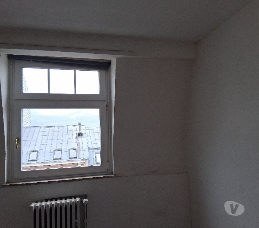 colocation Forest - Photos Vivastreet Appartement Art Deco rénové très lumineux 3 chambres