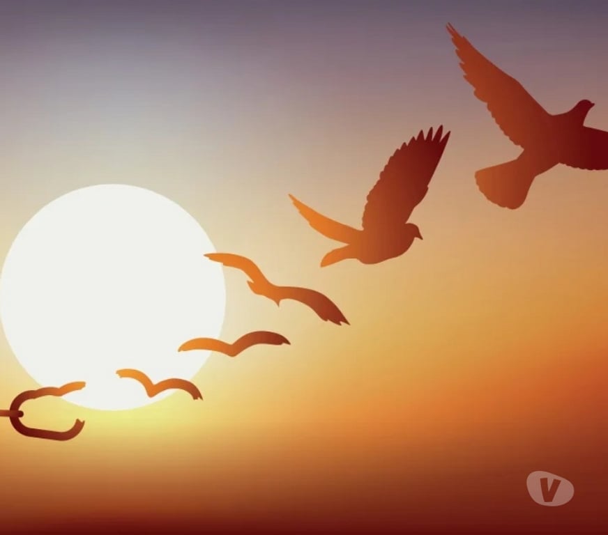 Autre Liège Liège-Centrum - Photos Vivastreet SE CHERCHER, SE TROUVER