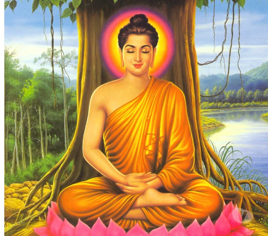 Autre Liège Liège-Centrum - Photos Vivastreet SE CHERCHER, SE TROUVER