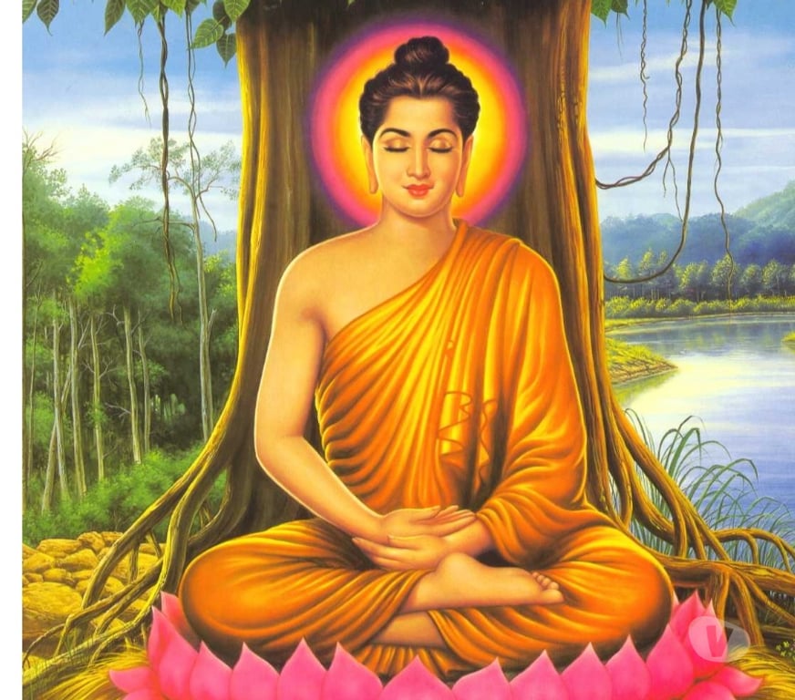 Autre Liège Liège-Centrum - Photos Vivastreet SE CHERCHER, SE TROUVER