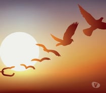 SE CHERCHER, SE TROUVER