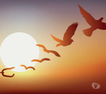 Autre Liège-Centrum Liège - Photos Vivastreet SE CHERCHER, SE TROUVER