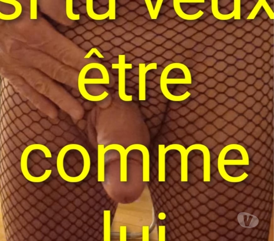 Gay Verviers Verviers-Centrum - Photos Vivastreet Exemple féminisation