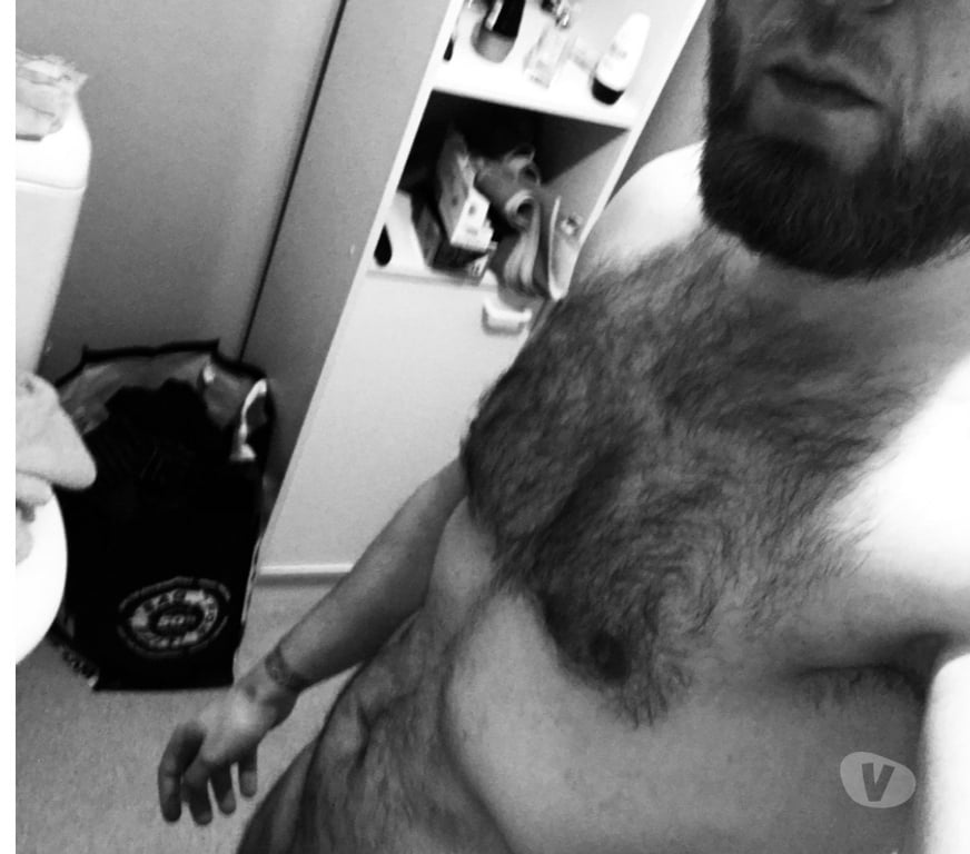 exhib Namur Beez - Photos Vivastreet Cherche femme soumise