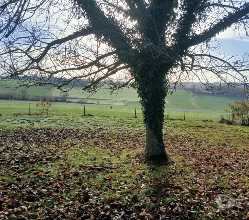 colocation Nandrin - Photos Vivastreet COLOCATION VILLA NANDRIN